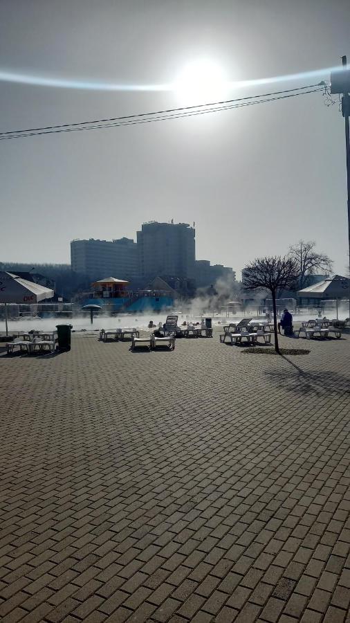 Tei Oradea